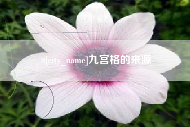 湛江九宫格的来源