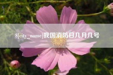 湛江我国消防日几月几号