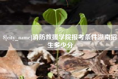 湛江消防救援学院报考条件湖南招生多少分