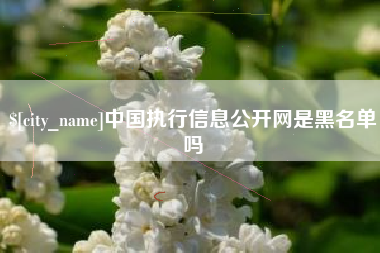 湛江中国执行信息公开网是黑名单吗