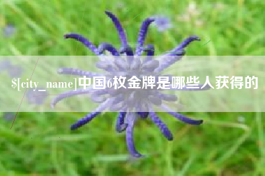 湛江中国6枚金牌是哪些人获得的