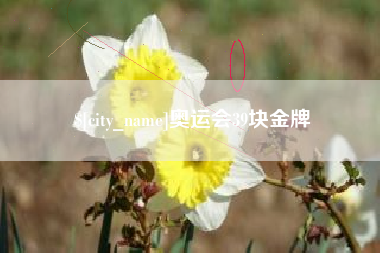 湛江奥运会39块金牌