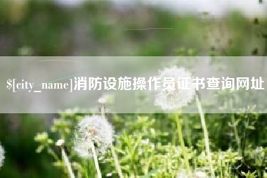湛江消防设施操作员证书查询网址