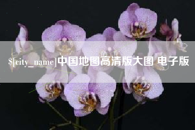 湛江中国地图高清版大图 电子版