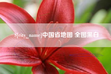 湛江中国省地图 全图黑白