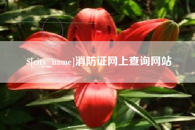 湛江消防证网上查询网站