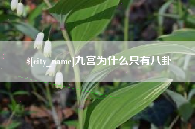 湛江九宫为什么只有八卦