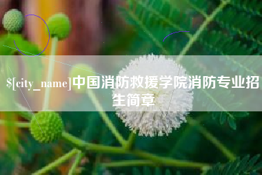 湛江中国消防救援学院消防专业招生简章