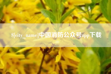 湛江中国消防公众号app下载