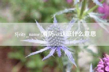 湛江消防ccc认证什么意思