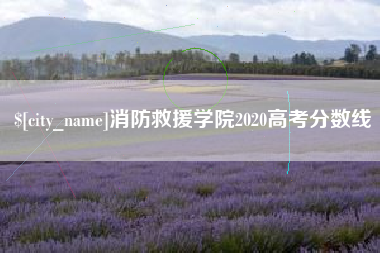 湛江消防救援学院2020高考分数线