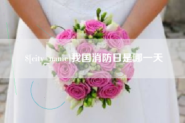 湛江我国消防日是哪一天