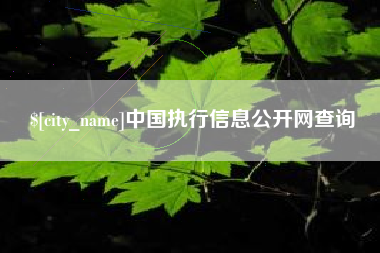 湛江中国执行信息公开网查询