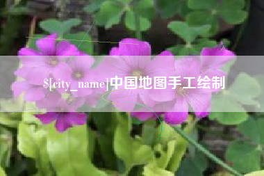 湛江中国地图手工绘制