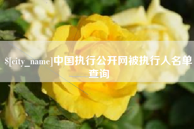 湛江中国执行公开网被执行人名单查询