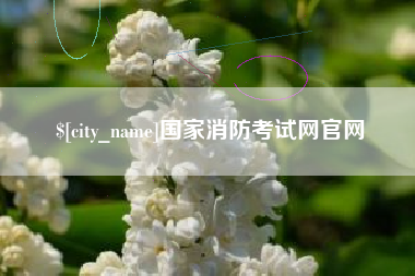 湛江国家消防考试网官网