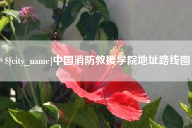 湛江中国消防救援学院地址路线图