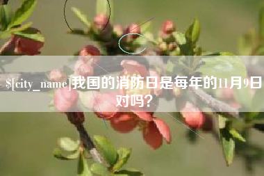 湛江我国的消防日是每年的11月9日对吗？