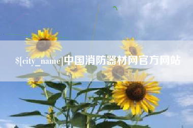 湛江中国消防器材网官方网站