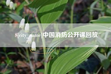 湛江中国消防公开课回放
