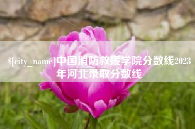 湛江中国消防救援学院分数线2023年河北录取分数线
