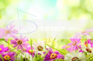 湛江中国消防网1190119