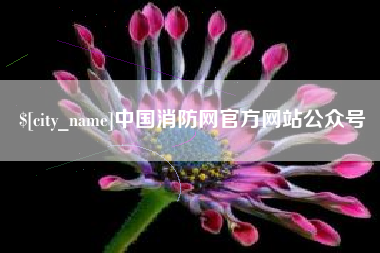 湛江中国消防网官方网站公众号