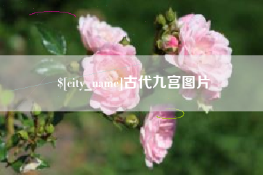 湛江古代九宫图片
