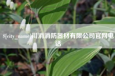湛江川消消防器材有限公司官网电话
