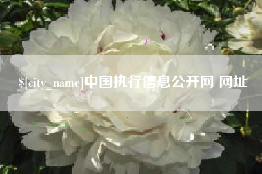 湛江中国执行信息公开网 网址