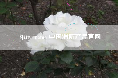 湛江中国消防产品官网