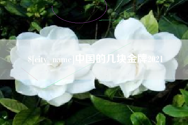 湛江中国的几块金牌2021