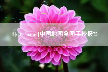 湛江中国地图全图手抄报75