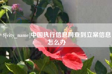湛江中国执行信息网查到立案信息怎么办