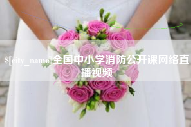 湛江全国中小学消防公开课网络直播视频