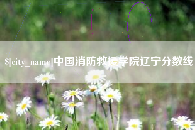 湛江中国消防救援学院辽宁分数线