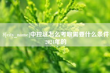 湛江中控证怎么考取需要什么条件2024年的