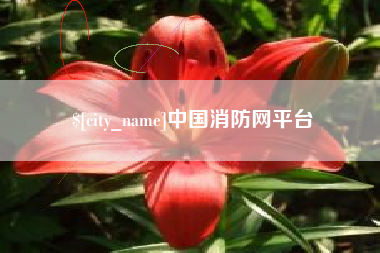 湛江中国消防网平台