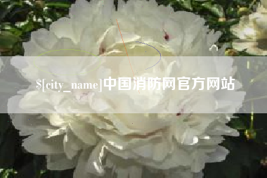 湛江中国消防网官方网站