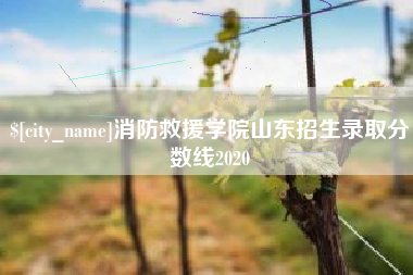湛江消防救援学院山东招生录取分数线2020