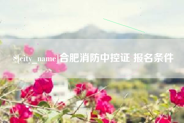 湛江合肥消防中控证 报名条件