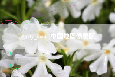湛江中国地图像素版