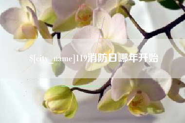 湛江119消防日哪年开始