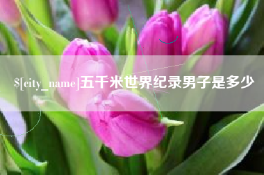 湛江五千米世界纪录男子是多少