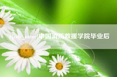 湛江中国消防救援学院毕业后