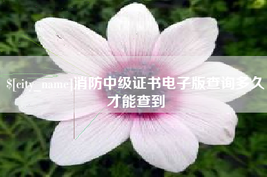 湛江消防中级证书电子版查询多久才能查到