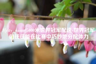 湛江5000米世界冠军配速-世界冠军们往往能在比赛中巧妙地分配体力