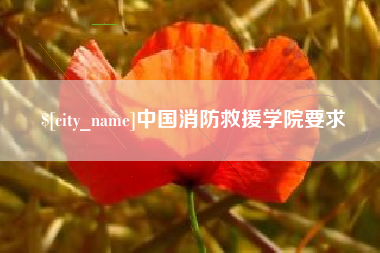 湛江中国消防救援学院要求