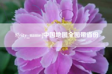 湛江中国地图全图带省份