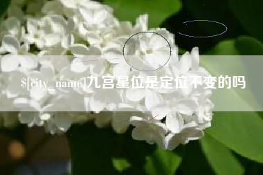 湛江九宫星位是定位不变的吗